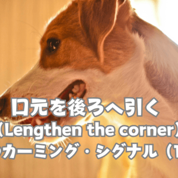最終値下げ♪カーミングシグナル　倫理と犬のストレスを軽減するための実践的応用 カーミングシグナル 倫理と犬のストレスを軽減するための実践的